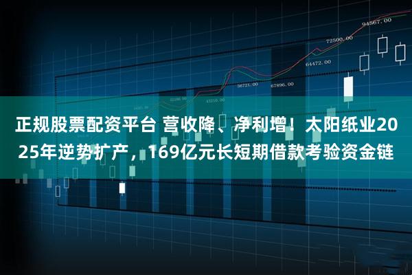正规股票配资平台 营收降、净利增！太阳纸业2025年逆势扩产，169亿元长短期借款考验资金链
